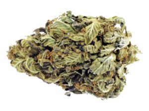Lemon Haze