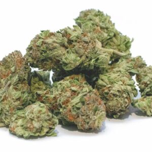 Sativa